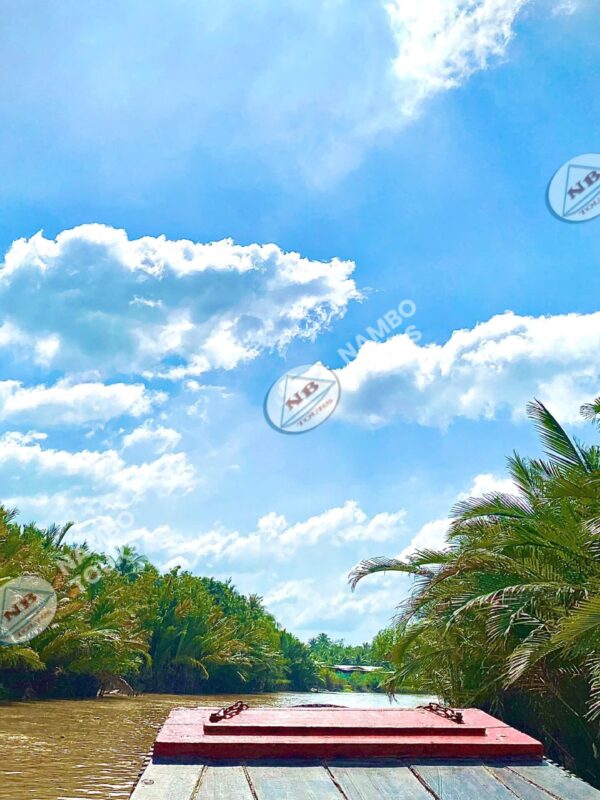Explore the tranquil village- Thuan Dien