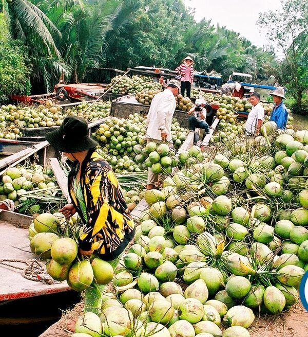 MEKONG – Coconut & Bonsai Garden, Cai Rang Floating Market