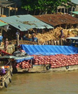 Thom market: A glimpse into an authentic rural life