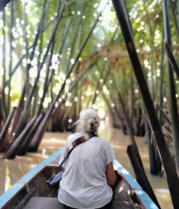 Sampan boat – Explore The Water Palms Jungle