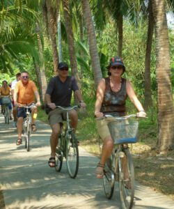 Cycling through the lush coconut jungle