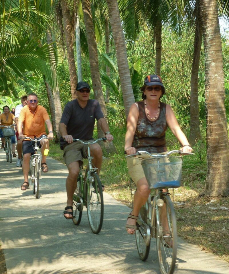 Cycling through the lush coconut jungle